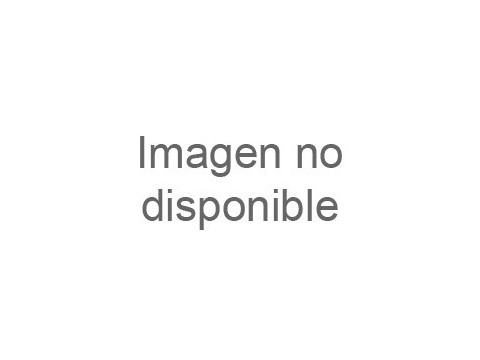 Braguita